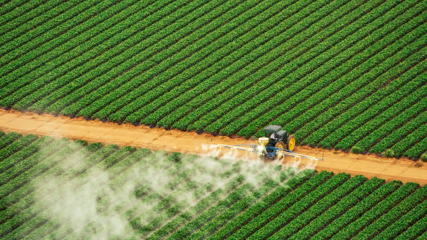Best Affordable Exterminators  in Pioneer, OH