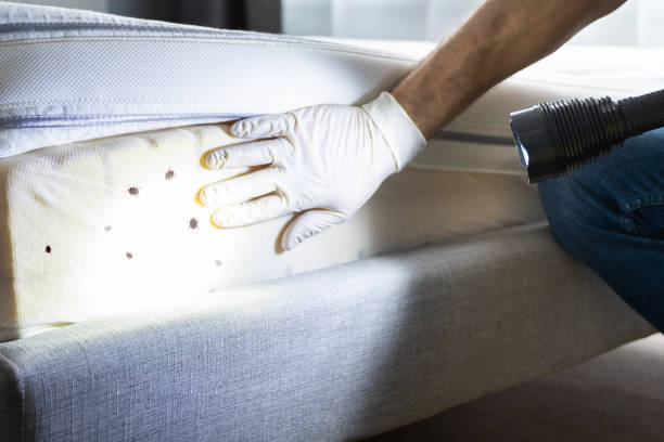 Best Best Pest Control Companies  in Pioneer, OH