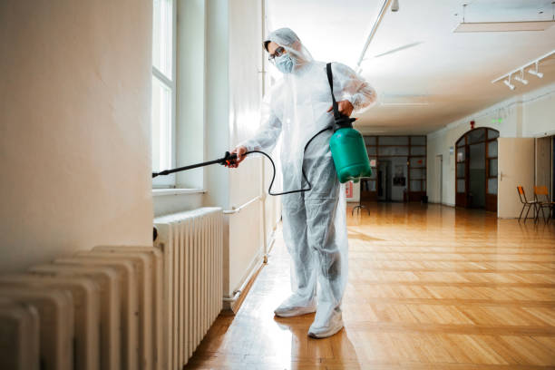 Best Termite Control Services  in Pioneer, OH