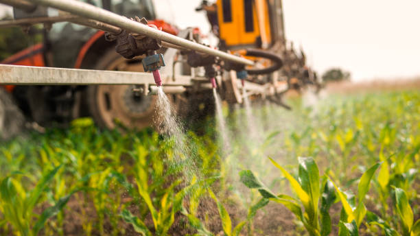 Best Pest Removal Services  in Pioneer, OH